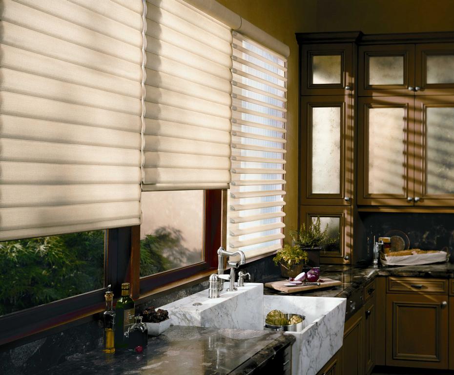 Hunter Douglas Pirouette Shades